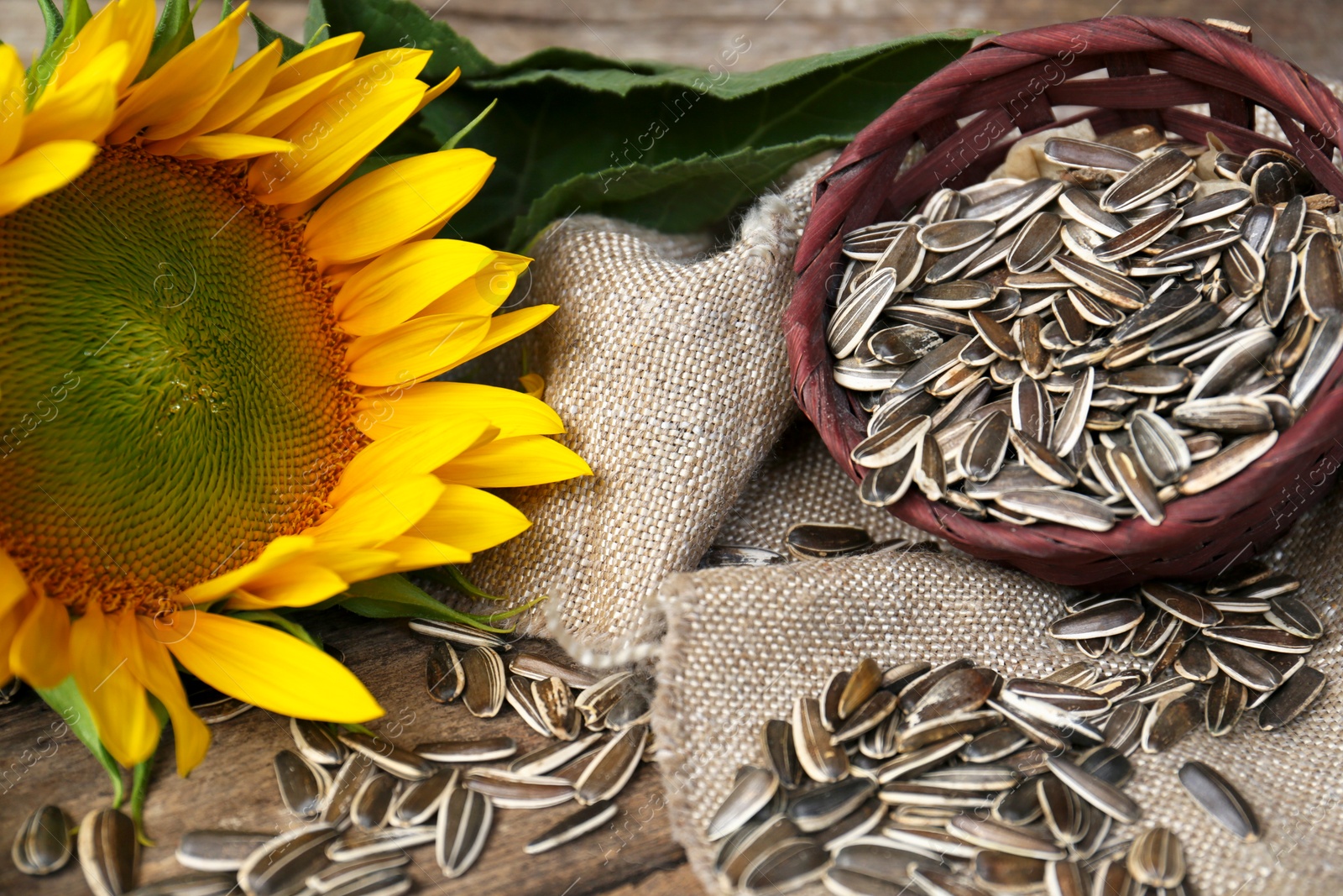 Photo of Organic sunflower seeds and flower on table, closeup