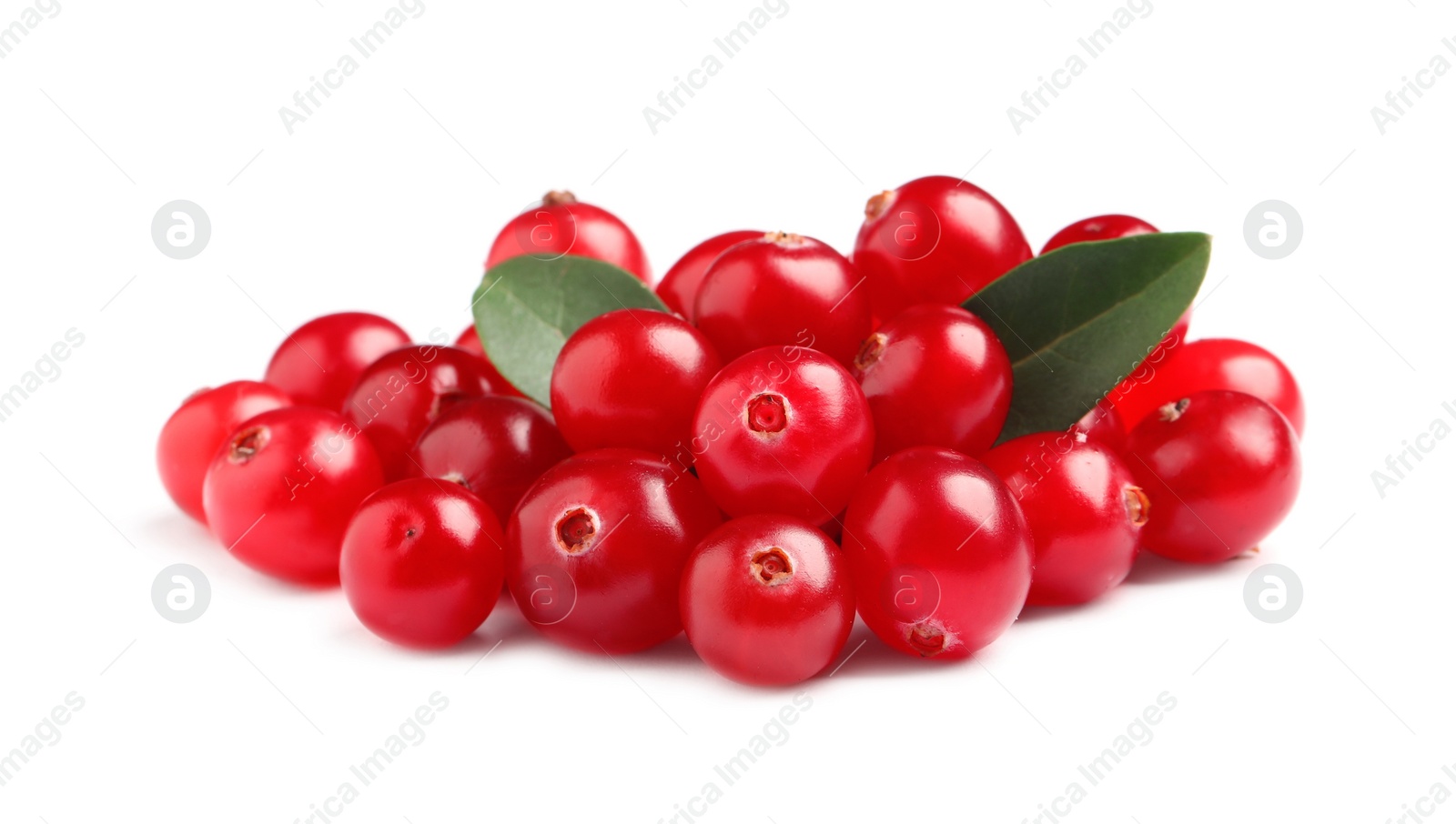 Photo of Pile of fresh cranberries with green leaves on white background
