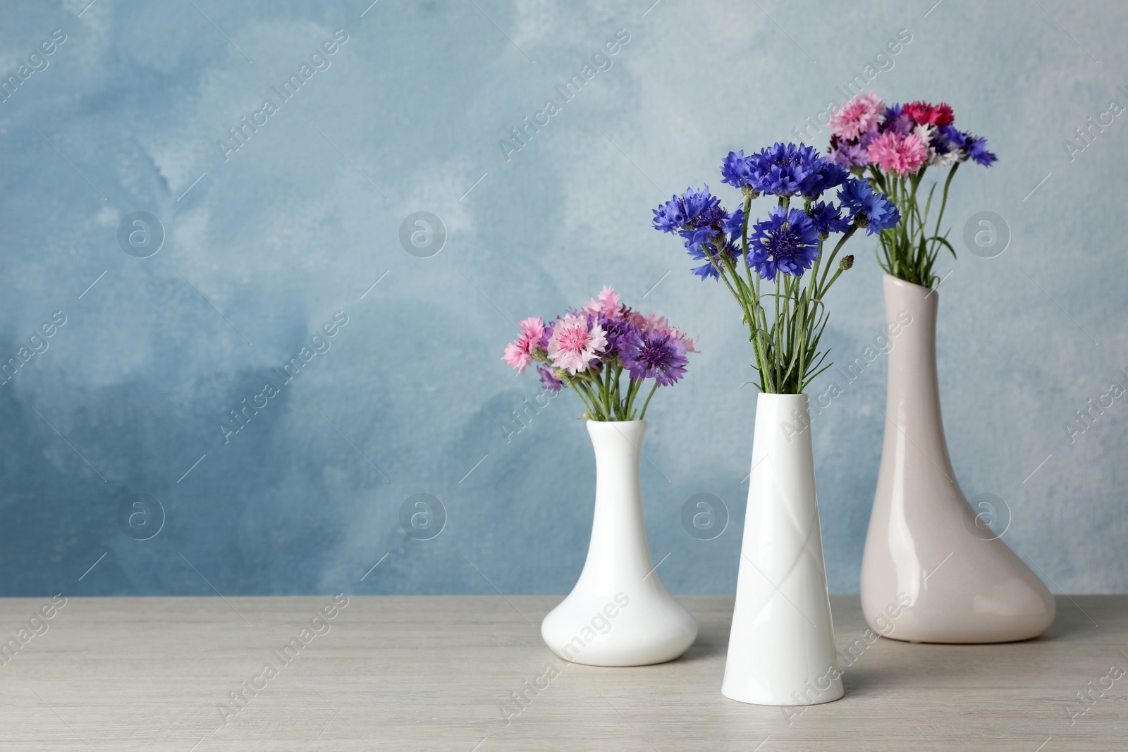 Photo of Beautiful cornflowers in vases on white wooden table. Space for text