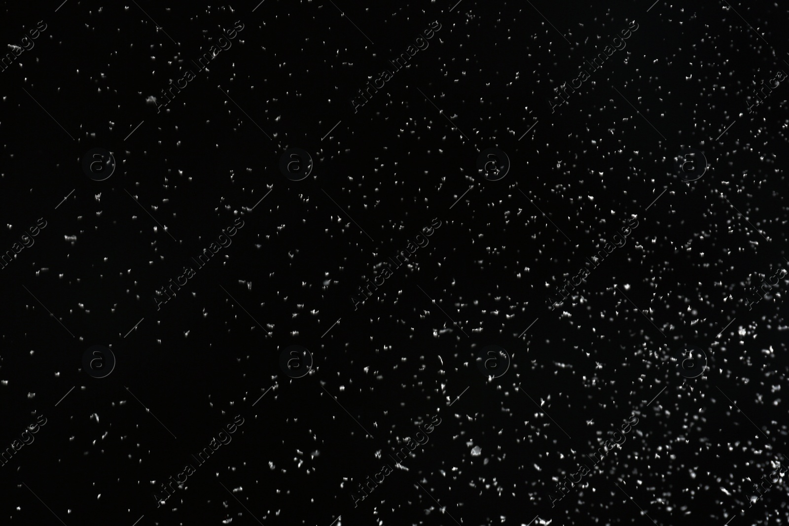 Photo of Snow flakes falling on black background. Winter weather