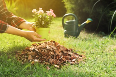 Photo of Heap of bark chips for mulch on green grass. Woman with flowers in garden, selective focus
