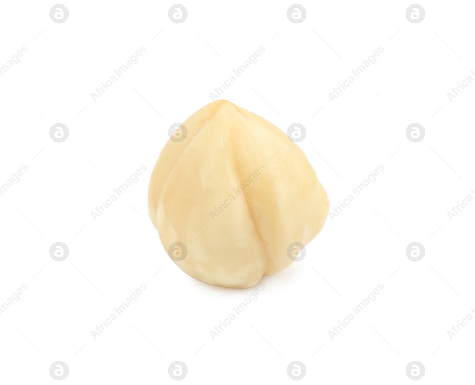 Photo of Tasty organic hazelnut on white background. Healthy snack
