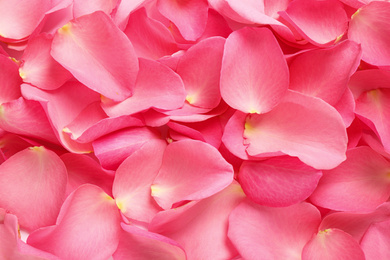 Photo of Fresh pink rose petals as background, closeup