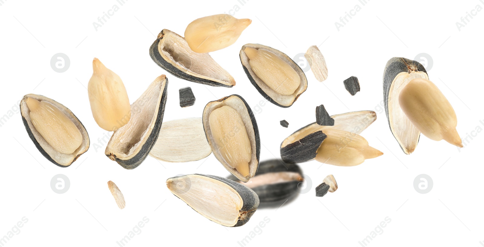 Image of Sunflower seeds with hull flying on white background. Banner design