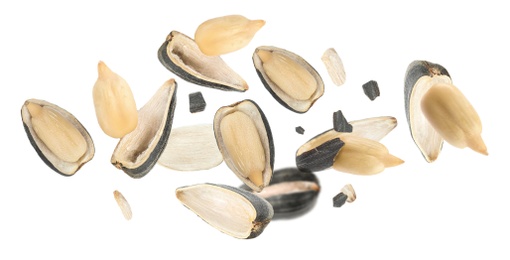 Image of Sunflower seeds with hull flying on white background. Banner design