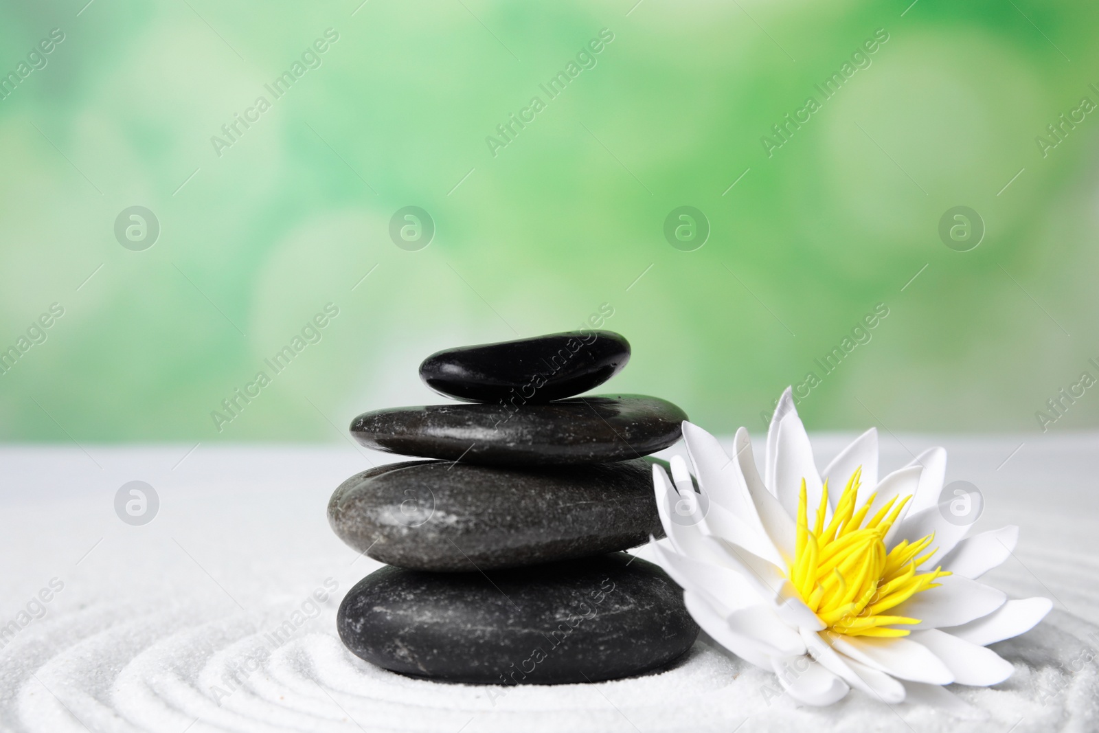 Photo of Zen garden. Beautiful lotus flower and stones on white sand