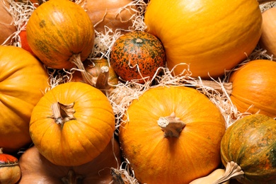 Photo of Many fresh raw whole pumpkins and wood shavings as background, top view. Holiday decoration