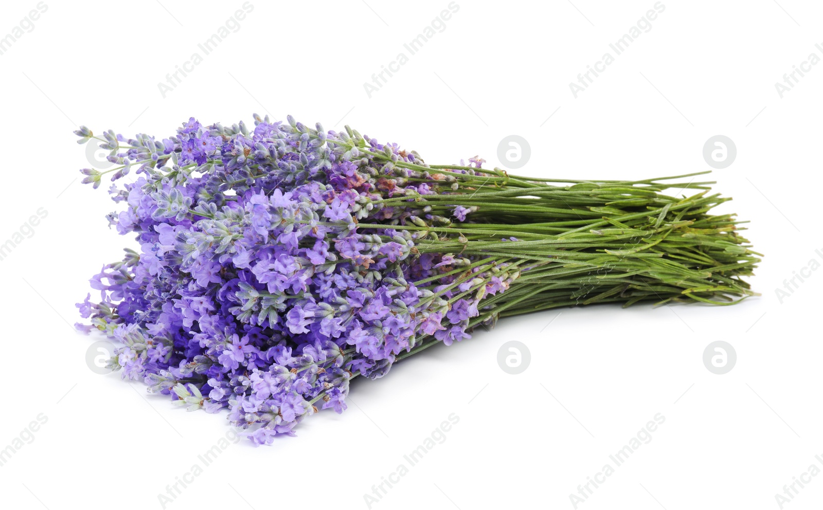 Photo of Bouquet of beautiful lavender flowers isolated on white