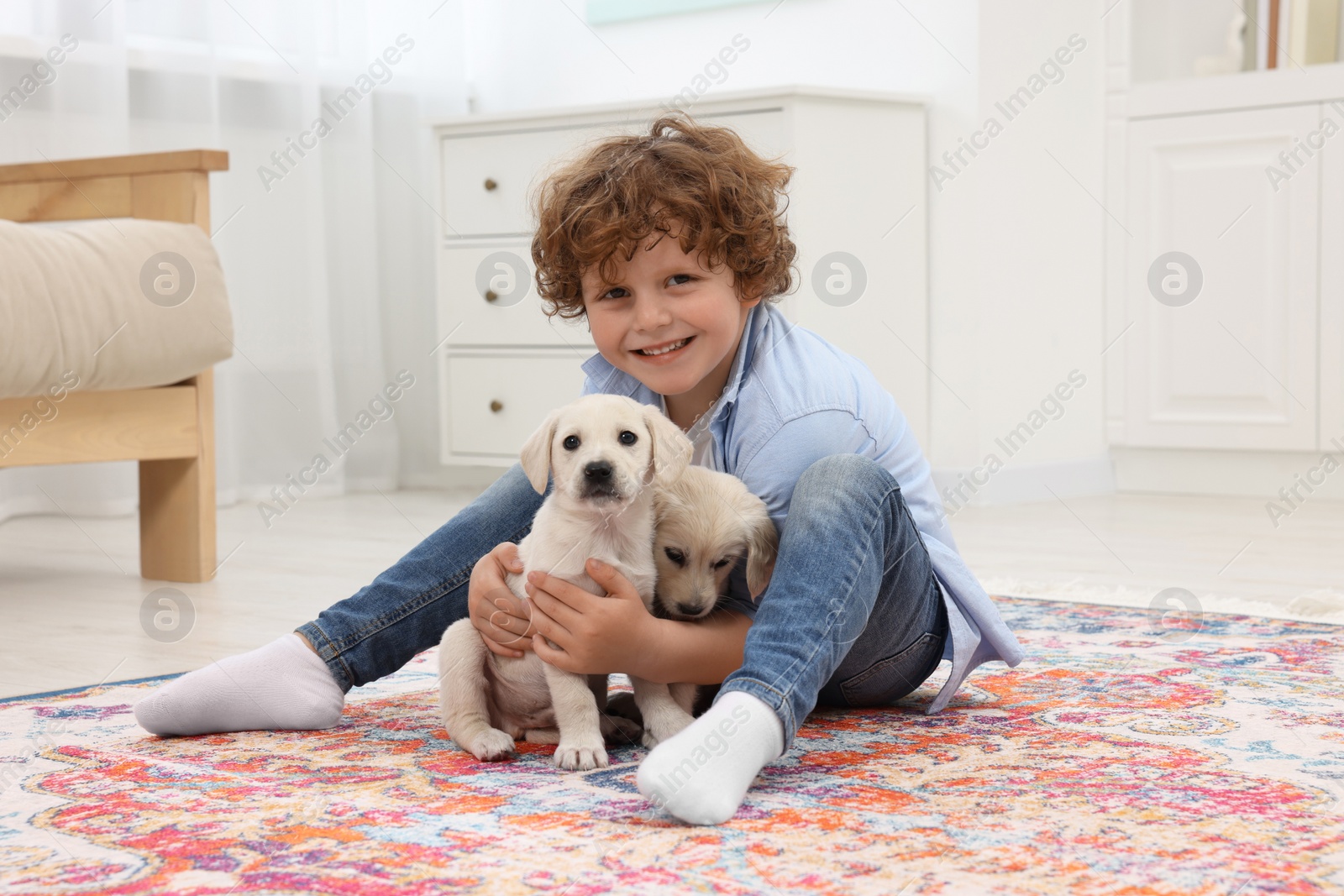 Photo of Little boy with cute puppies on carpet at home