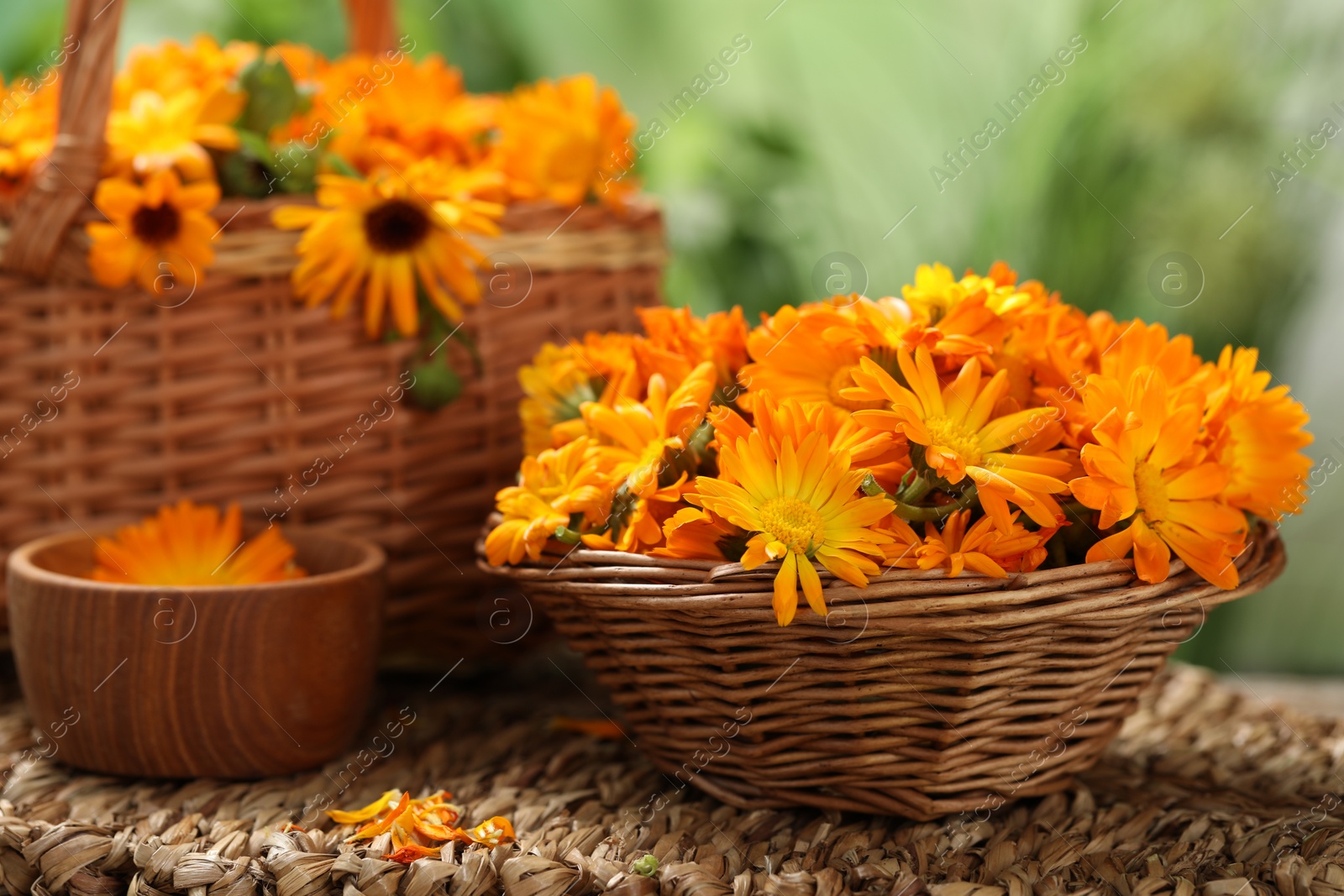 Photo of Beautiful fresh calendula flowers on table against blurred green background