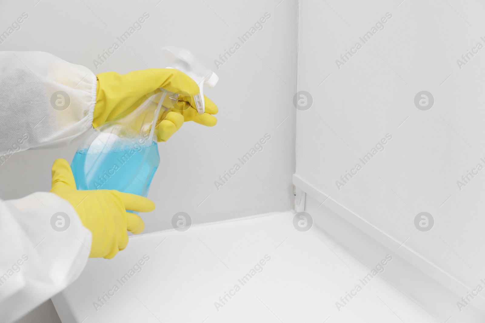 Photo of Woman in protective suit cleaning mold with sprayer on wall indoors, closeup