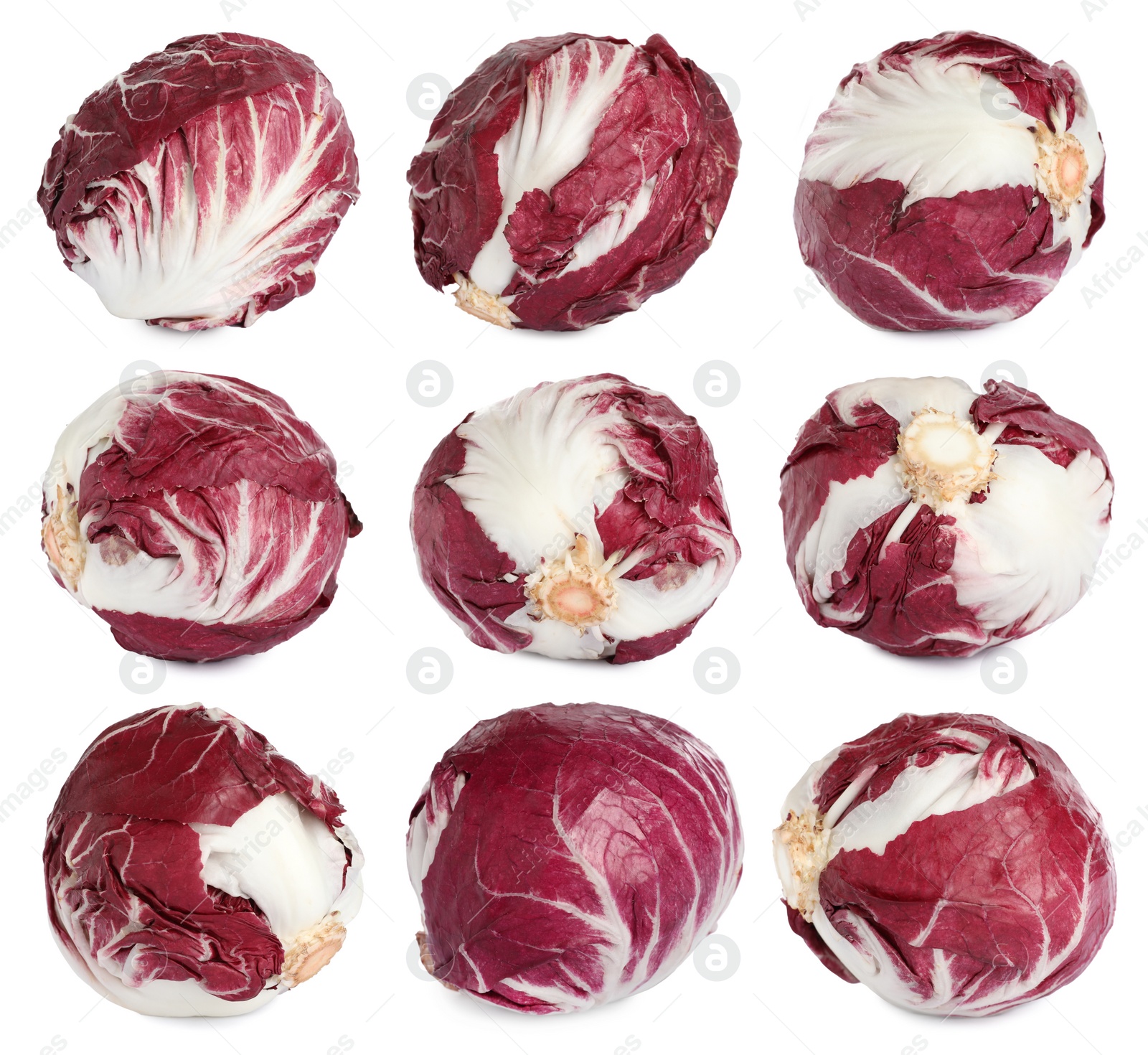 Image of Set with fresh ripe radicchios on white background 