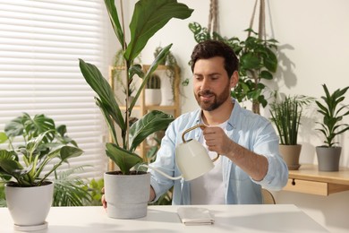 Man watering beautiful potted houseplants at white table indoors