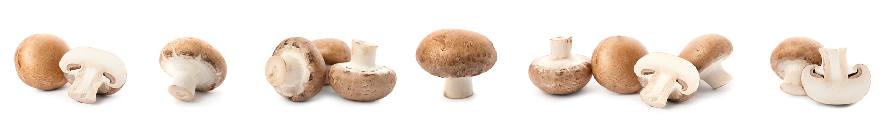 Image of  Set with fresh champignon mushrooms on white background, banner design 