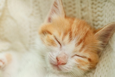 Photo of Cute little red kitten sleeping on white knitted blanket, closeup view