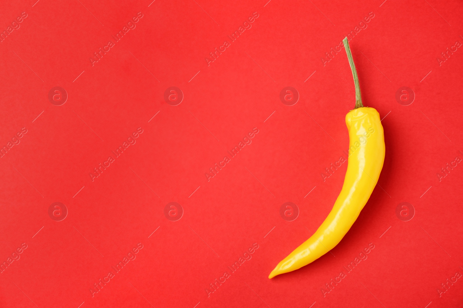 Photo of Ripe hot chili pepper on color background, top view