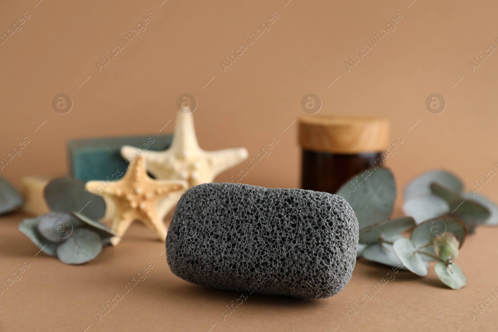 Photo of Pumice stone and eucalyptus on brown background