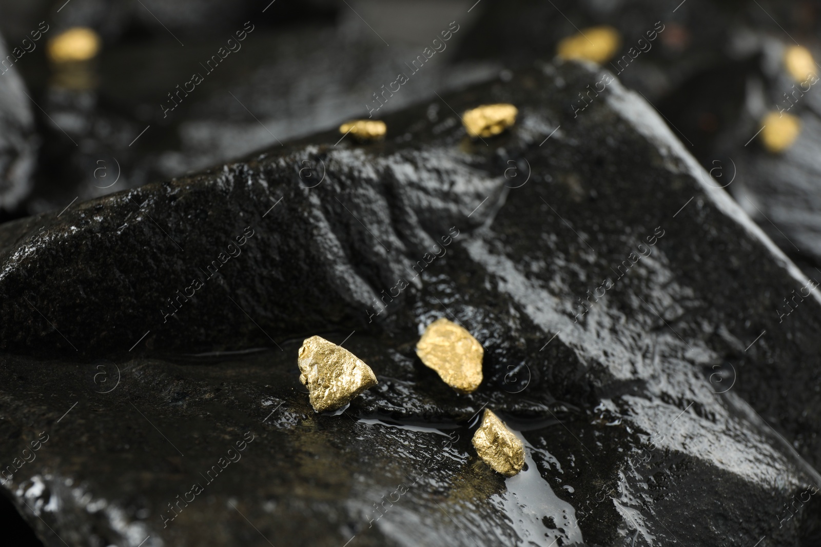 Photo of Shiny gold nuggets on wet stone, closeup