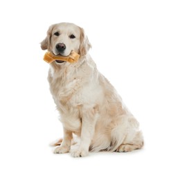 Image of Cute Golden Retriever dog holding chew bone in mouth on white background