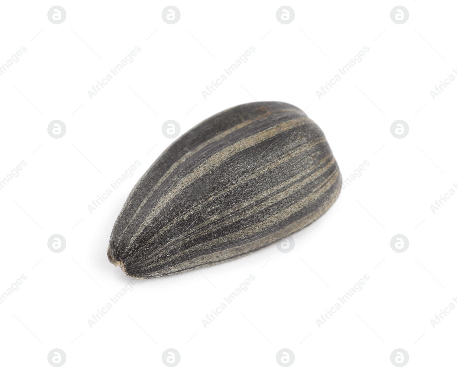 Photo of Raw organic sunflower seed isolated on white