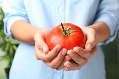 Photo of Woman holding ripe red tomato, closeup view