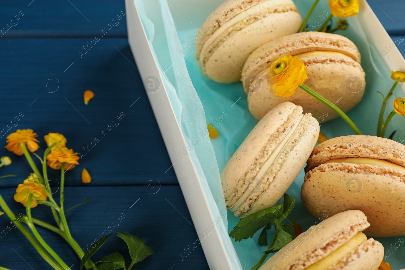 Photo of Delicious macarons and flowers on blue wooden table, closeup