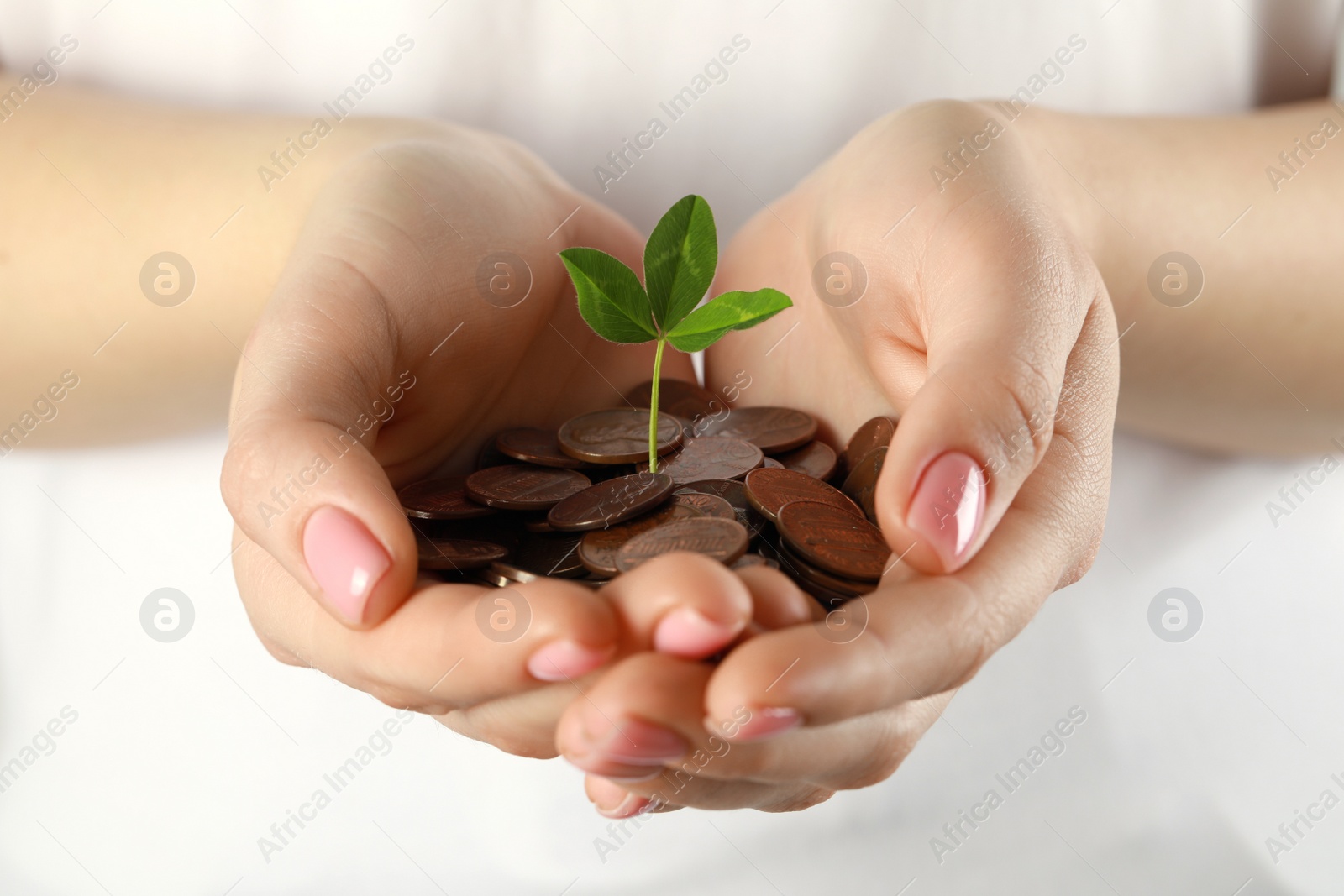 Photo of Woman holding many coins with green sprout on white background, closeup. Investment concept