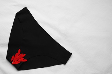 Photo of Woman's panties with red flower petals on white fabric, top view. Space for text