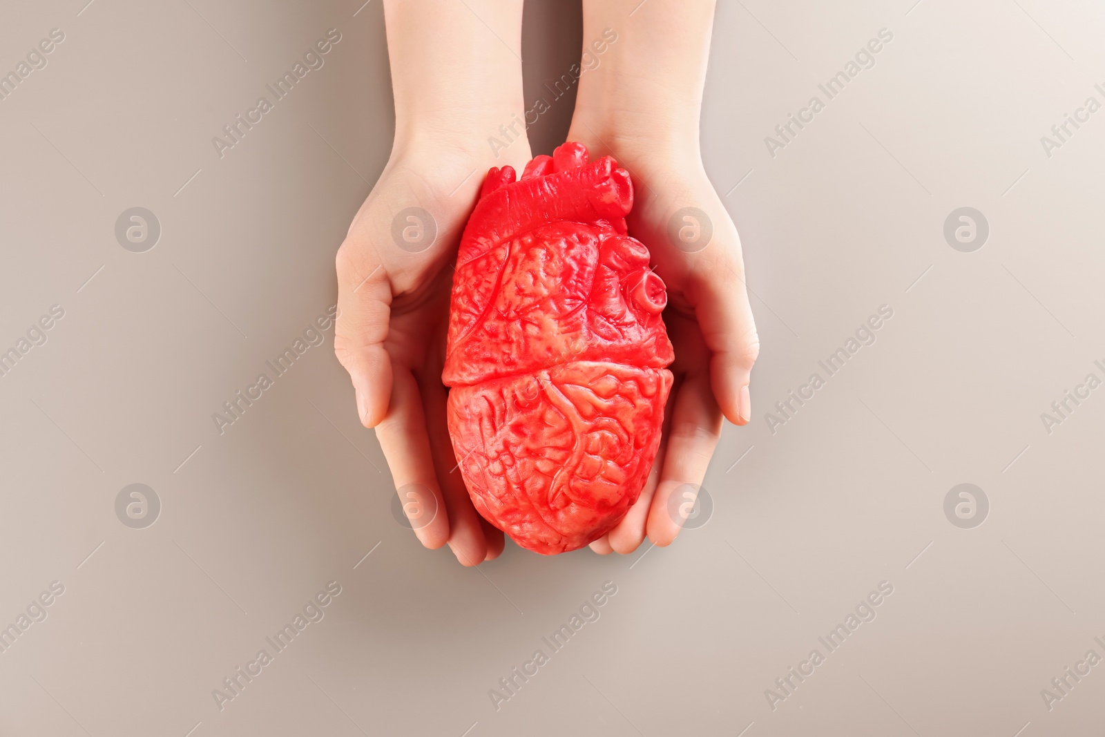 Photo of Woman holding model of heart on gray background. Heart attack concept