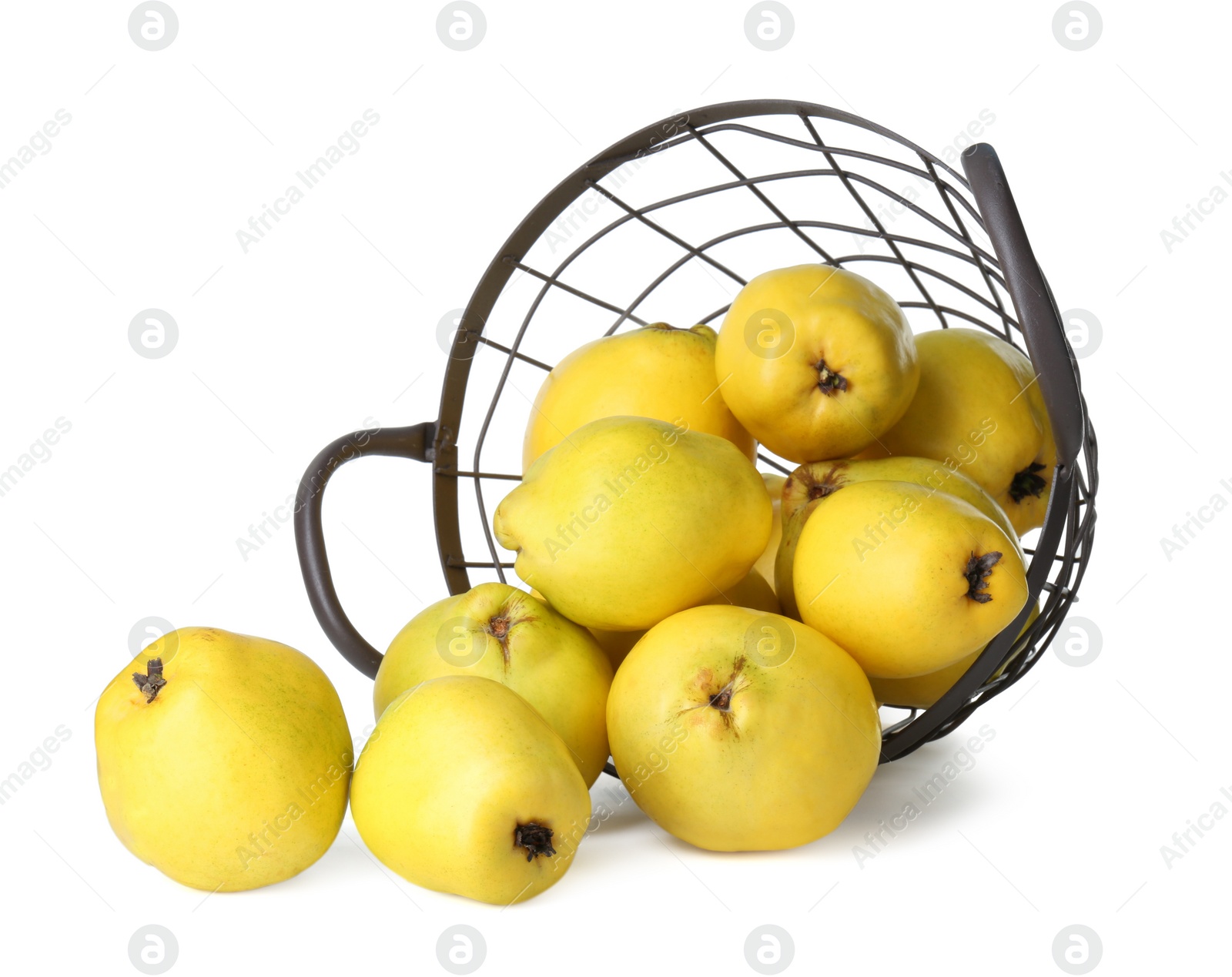 Photo of Basket with delicious fresh ripe quinces isolated on white