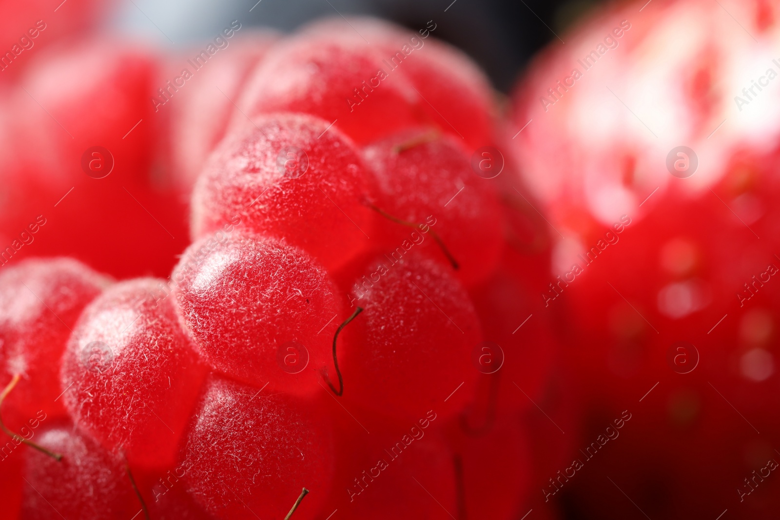 Photo of Tasty fresh ripe raspberry on blurred background, closeup