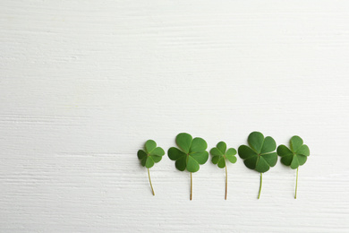 Clover leaves on white wooden table, flat lay with space for text. St. Patrick's Day symbol