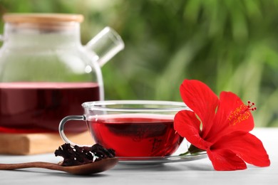 Photo of Delicious hibiscus tea and flowers on white wooden table outdoors, closeup