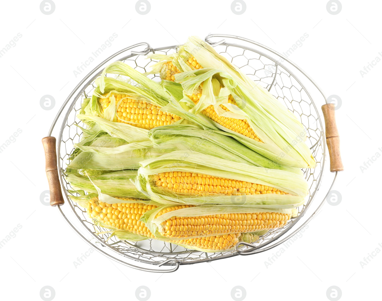 Photo of Ripe raw corn cobs in metal basket on white background, top view