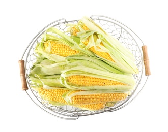 Photo of Ripe raw corn cobs in metal basket on white background, top view