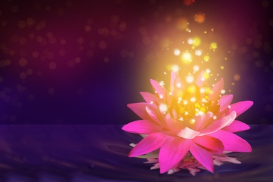Image of Fantastic lotus flower with sparks on water surface, bokeh effect