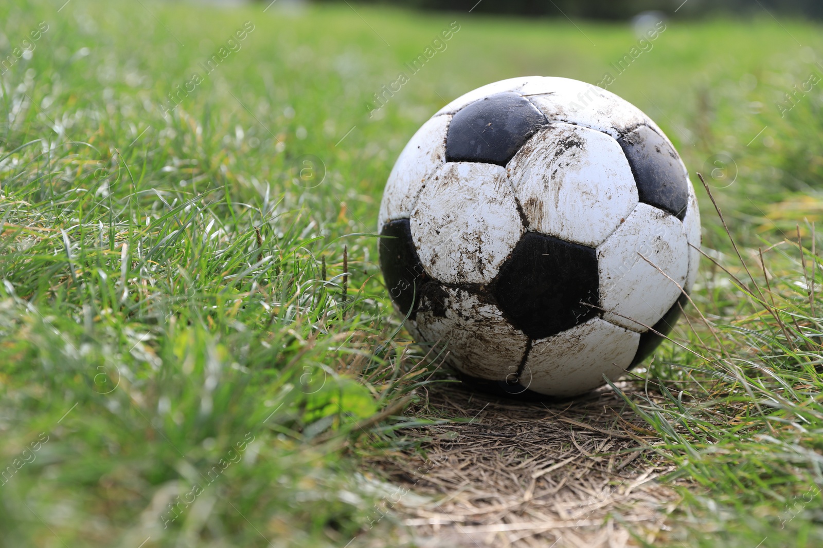 Photo of Dirty soccer ball on green grass outdoors, space for text