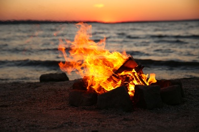 Beautiful bonfire with burning firewood on beach in evening