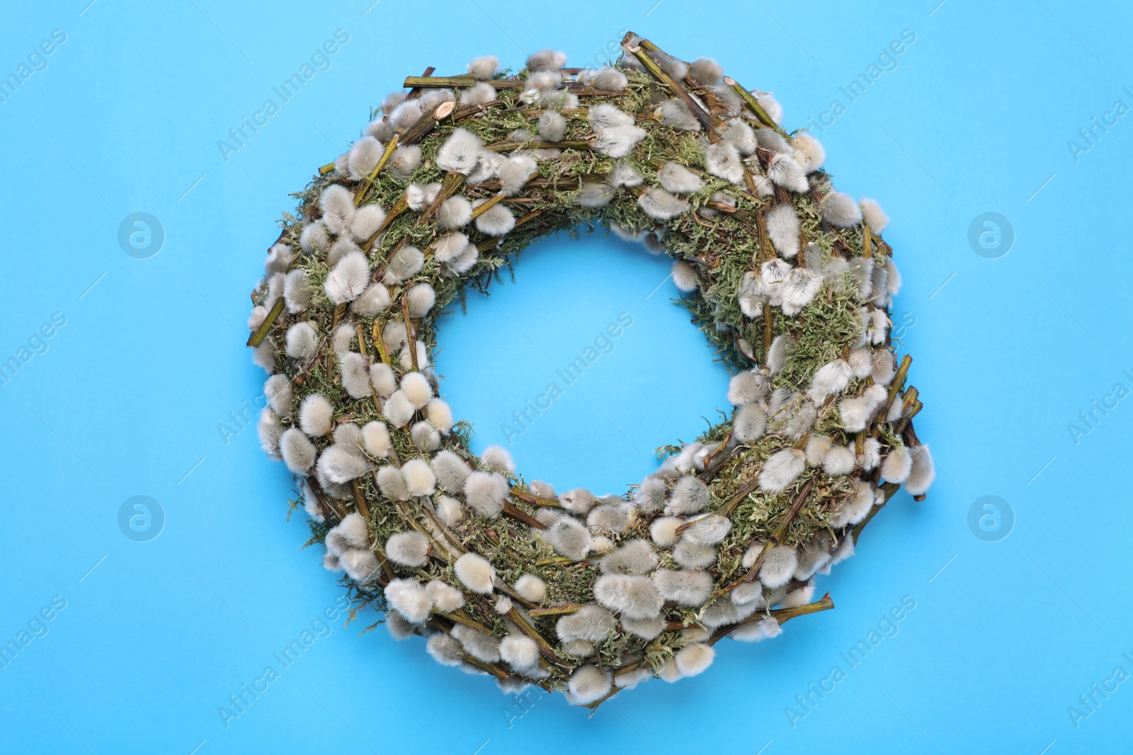 Photo of Wreath made of beautiful willow flowers on light blue background, top view