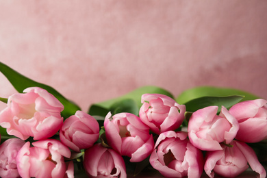 Beautiful spring tulips on light pink background, closeup. Space for text