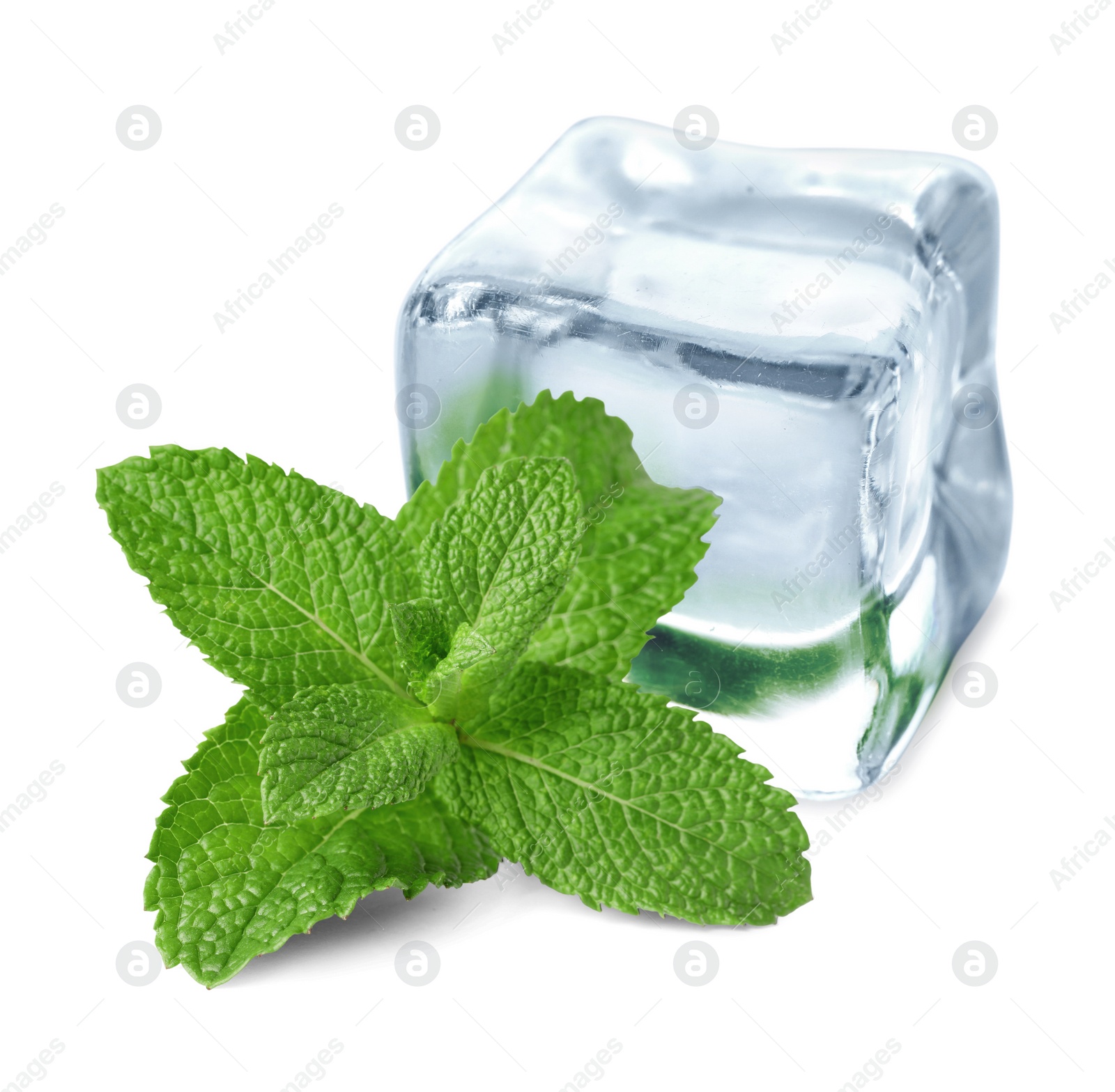 Image of Green mint and ice cube isolated on white