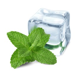 Green mint and ice cube isolated on white