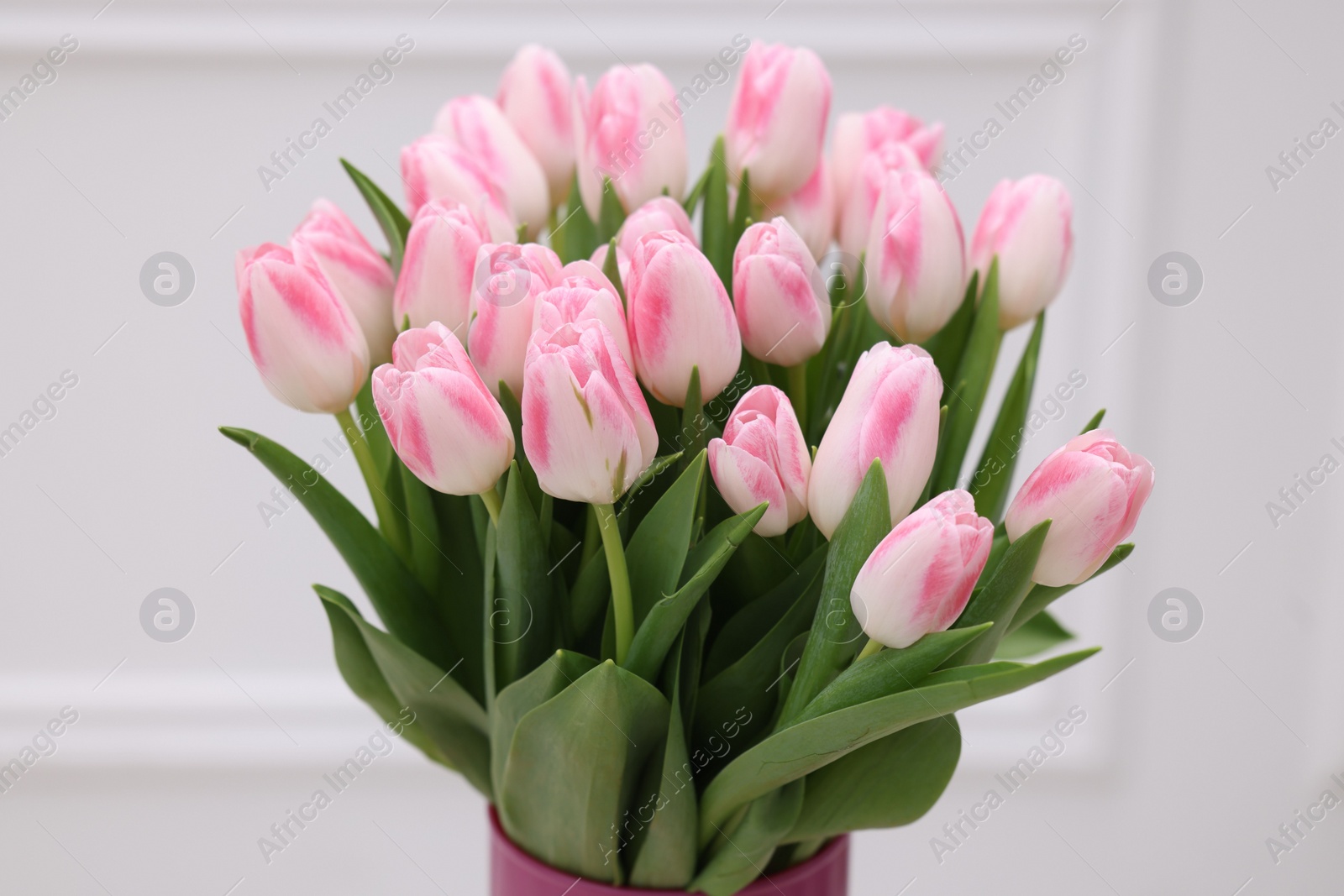 Photo of Beautiful bouquet of fresh pink tulips on white background