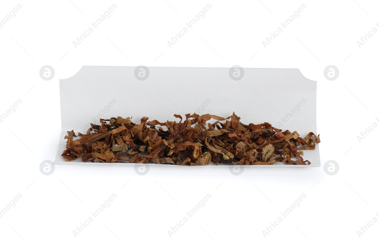 Photo of Making hand rolled cigarette. Paper with tobacco isolated on white.