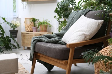 Comfortable armchair and beautiful houseplants in room. Lounge area interior