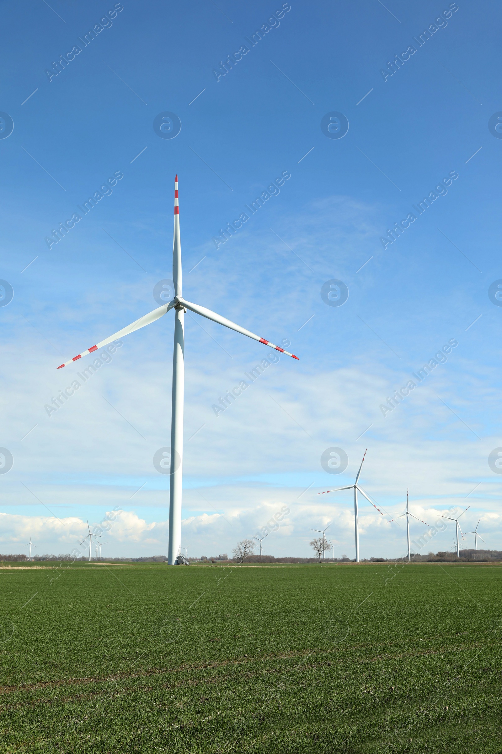 Photo of Modern wind turbines in field on sunny day. Alternative energy source