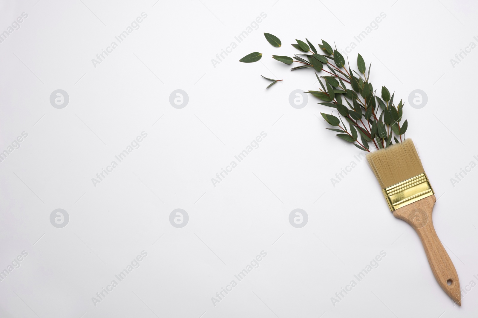 Photo of Brush painting with plant twigs on light background, top view. Space for text. Creative concept