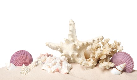 Beautiful starfish, coral and sea shells in sand on white background