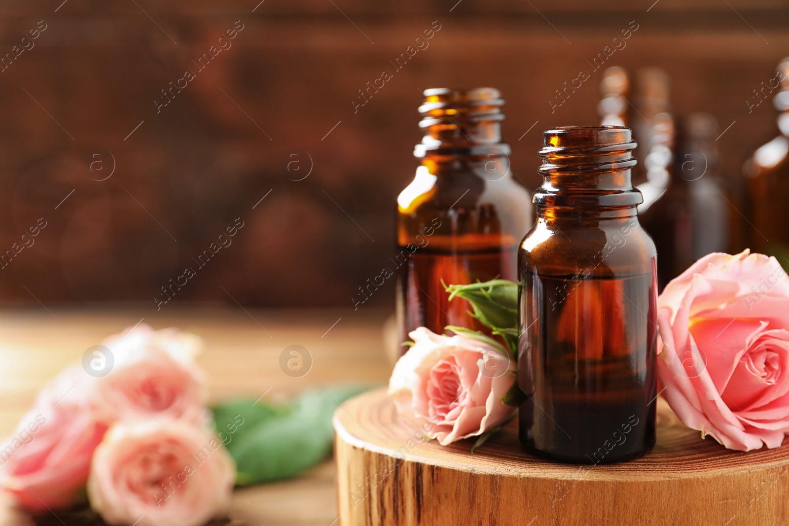 Photo of Bottles of rose essential oil and fresh flowers on table, closeup. Space for text