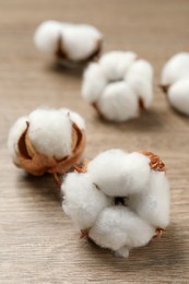 Photo of Beautiful cotton fluffy flowers on wooden table, closeup